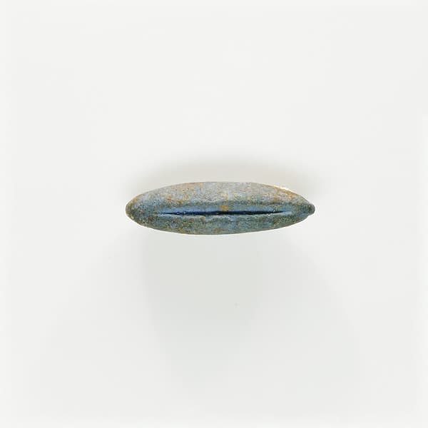 Bead in the Form of a Date (?)