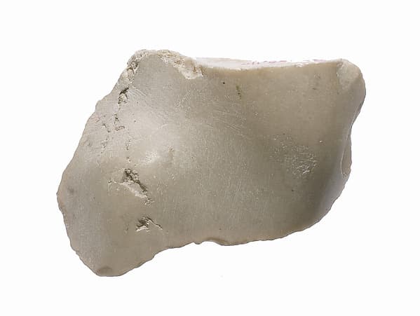 Foot fragment?