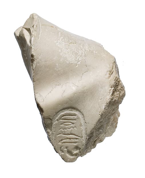 Left shoulder with Aten cartouches, from statue of Akhenaten or Nefertiti leaning forward