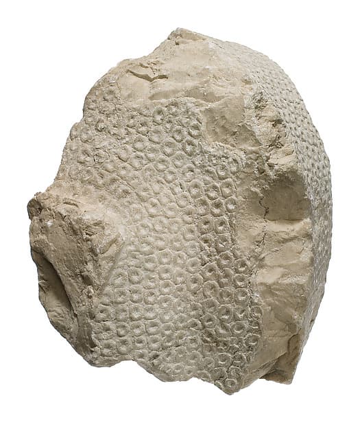Blue crown from head of Akhenaten