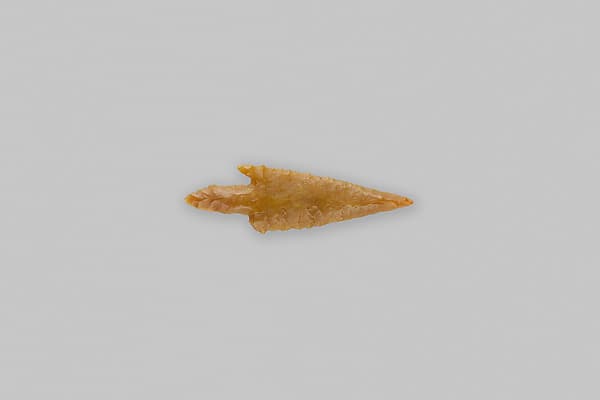 Projectile Point