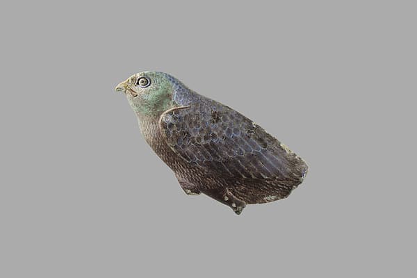 Quail chick inlay