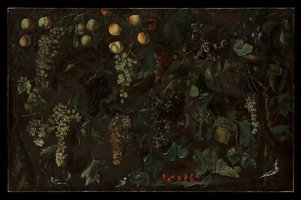 Grape Vines and Fruit, with Three Birds, by Bartolomeo Cavarozzi