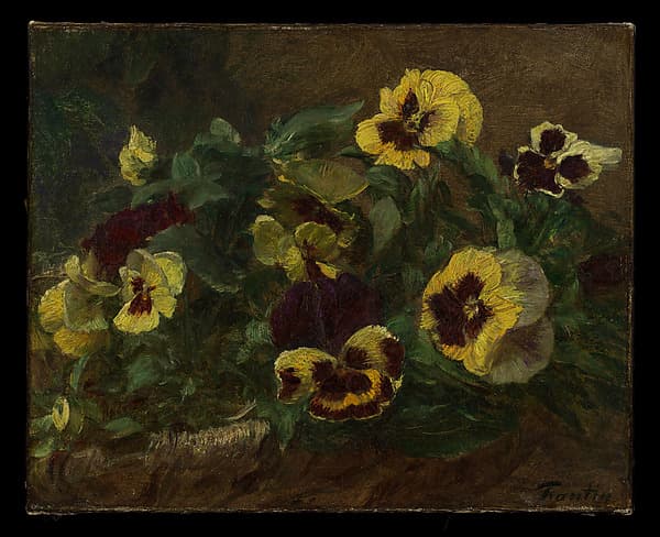 Pansies, by Henri Fantin-Latour