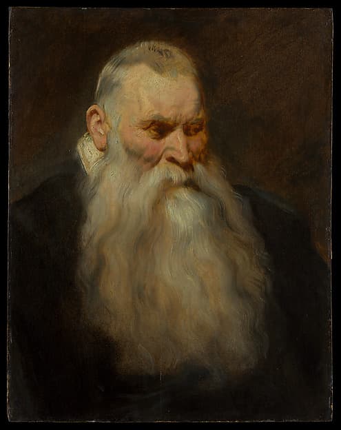 Study Head of an Old Man with a White Beard, by Anthony van Dyck