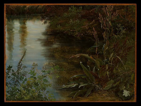 Study of Water and Plants, by Thomas Fearnley