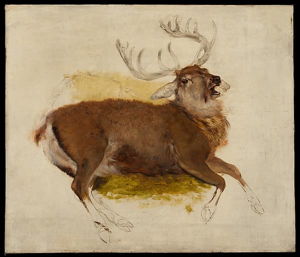 Dying Stag, by Sir Edwin Henry Landseer