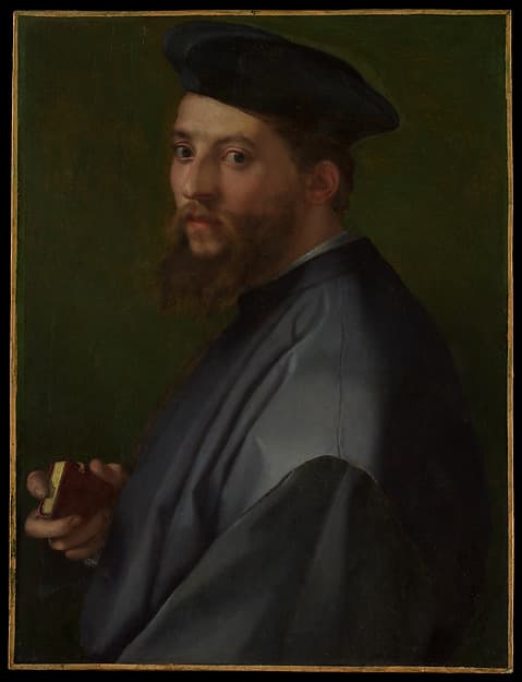 Portrait of a Man, by Andrea del Sarto (Andrea d'Agnolo)