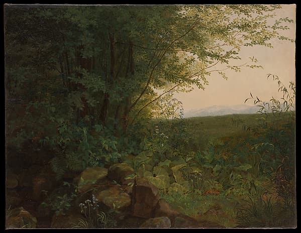 At the Edge of the Forest, by August Heinrich