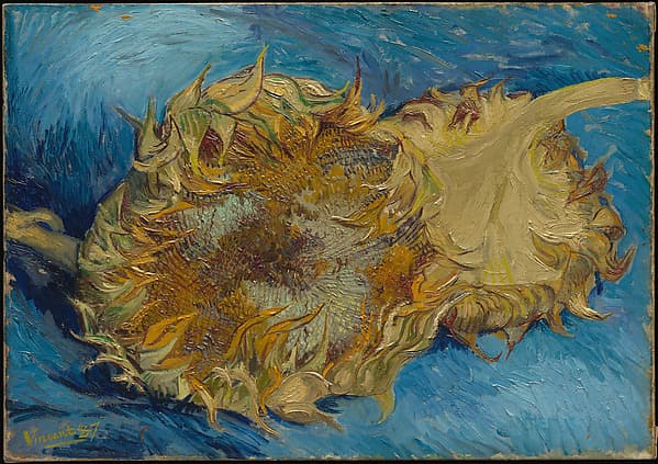 Sunflowers, by Vincent van Gogh