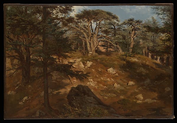 Cedars of Lebanon, by Antoine-Alphonse Montfort