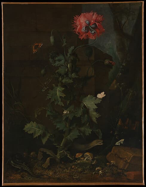 Still Life with Poppy, Insects, and Reptiles, by Otto Marseus van Schrieck