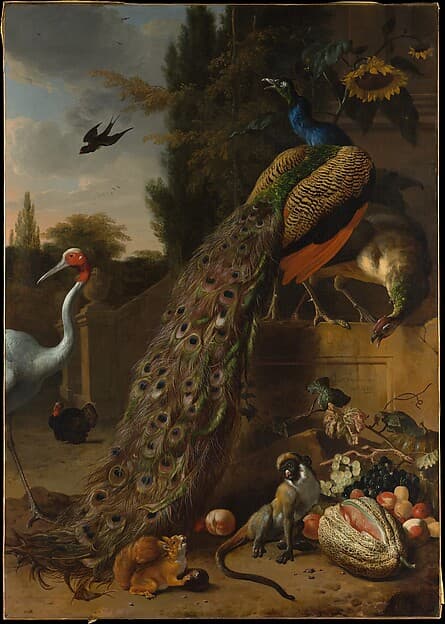 Peacocks, by Melchior d' Hondecoeter