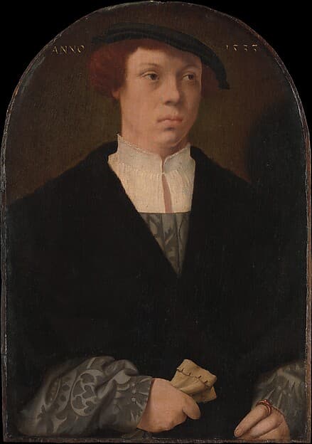 Portrait of a Man, by Barthel Bruyn the Elder