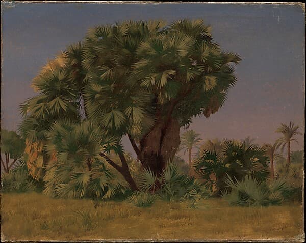 Study of Palm Trees, by Jean-Léon Gérôme