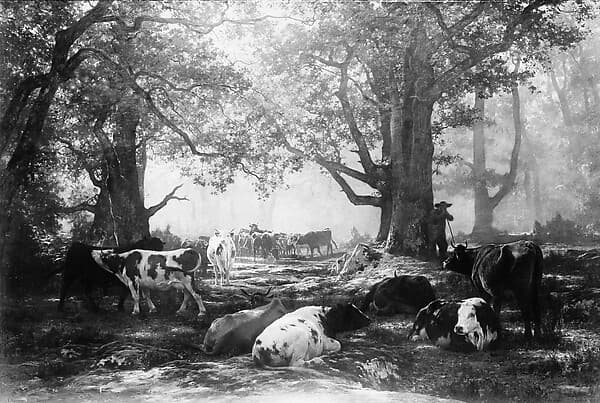 Environs of Fontainebleau: Woodland and Cattle, by Auguste-François Bonheur