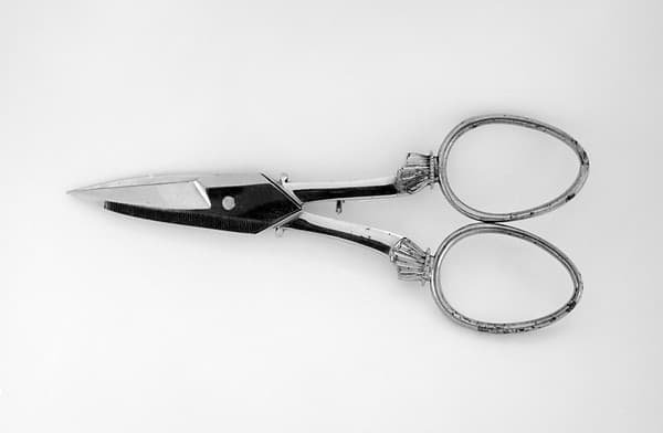 Scissors (part of a set), by J. Hobson & Son, England