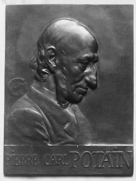 Doctor Pierre Carl Potain (1825–1901), by Alexandre-Louis-Marie Charpentier