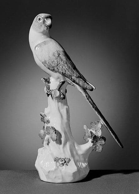 Parakeet, by Meissen Manufactory