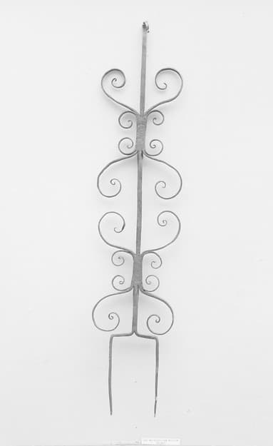 Broiling or toasting fork