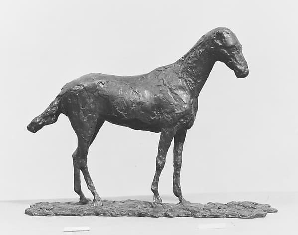 Study of a Mustang, by Edgar Degas