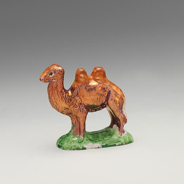 Camel, by Mary Atwood