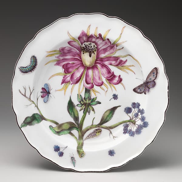 Botanical plate with thistle, by Chelsea Porcelain Manufactory
