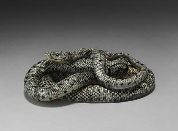 Snake, by Saint-Honoré-les-Bains