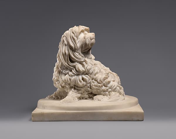 Shock Dog (nickname for a dog of the Maltese breed), by Anne Seymour Damer