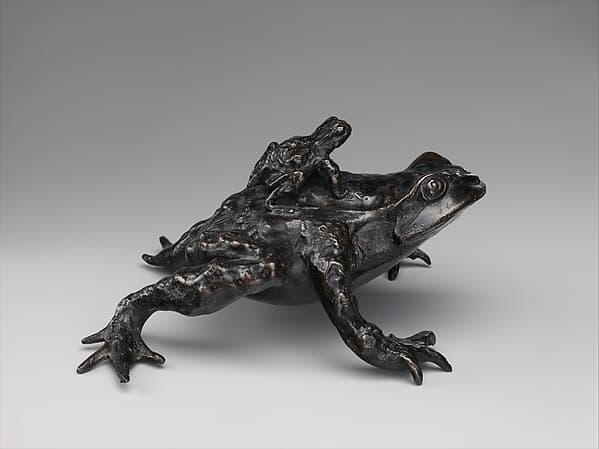 Toad with a Young Toad on its Back