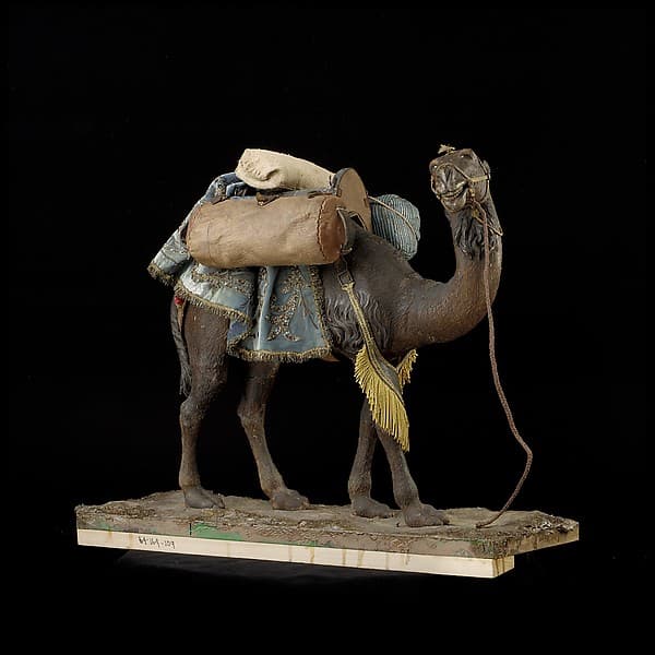 Camel