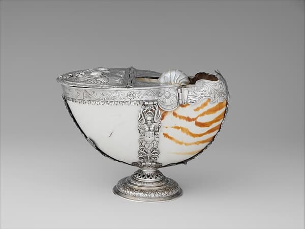 Nautilus shell box