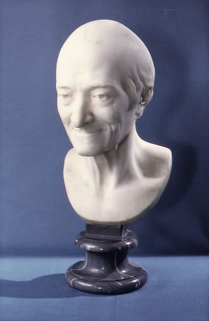 Voltaire (François-Marie Arouet) (1694–1778), by Jean Antoine Houdon