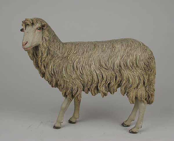 Standing sheep, by Nicola Vassalo