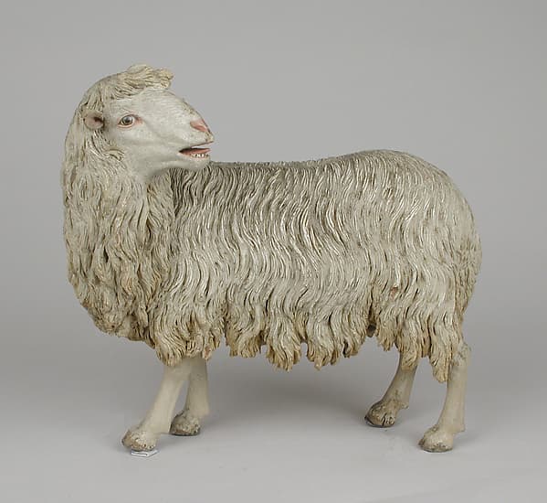 Standing sheep, by Nicola Vassalo
