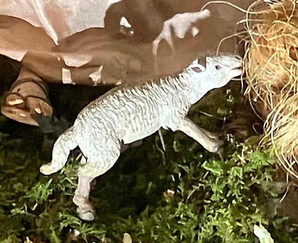 Lamb