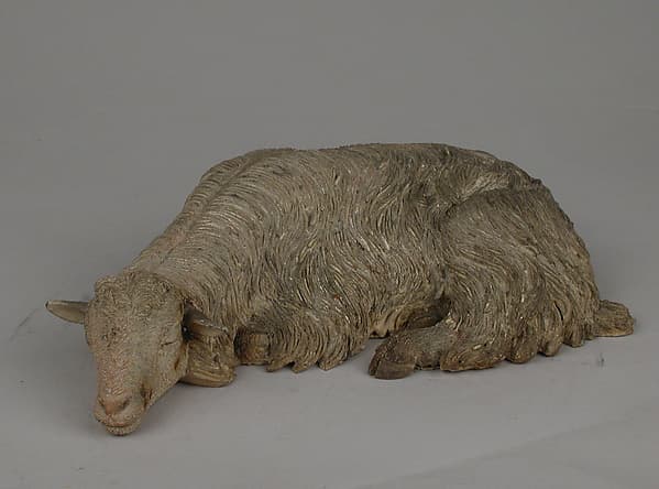 Sleeping sheep, by Francesco Gallo