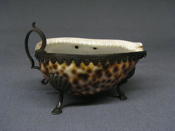 Cowrie shell
