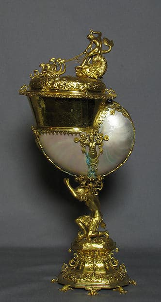 Nautilus shell cup with cover