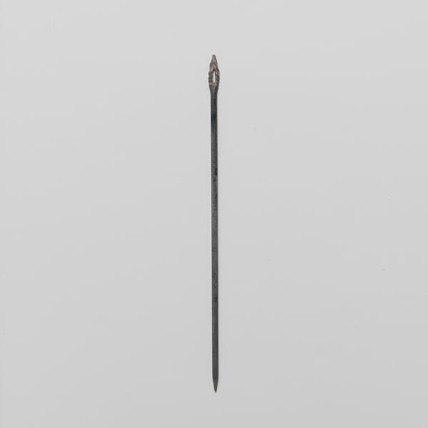 Glass needle