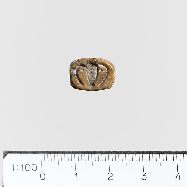 Seal, amygdaloid