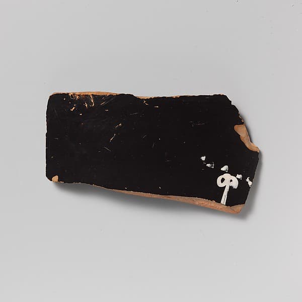 Calyx-krater, fragments