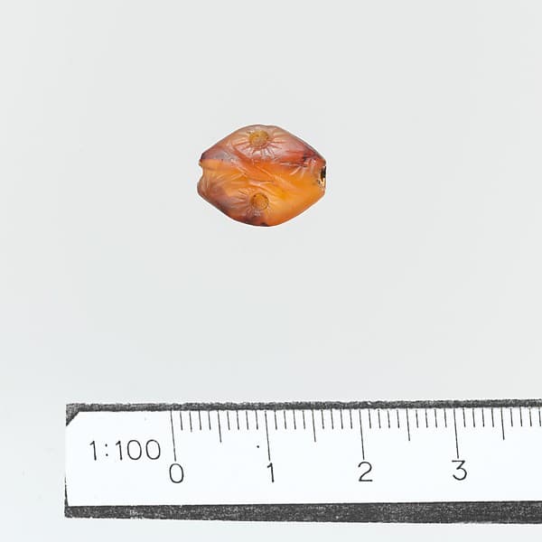 Seal, amygdaloid