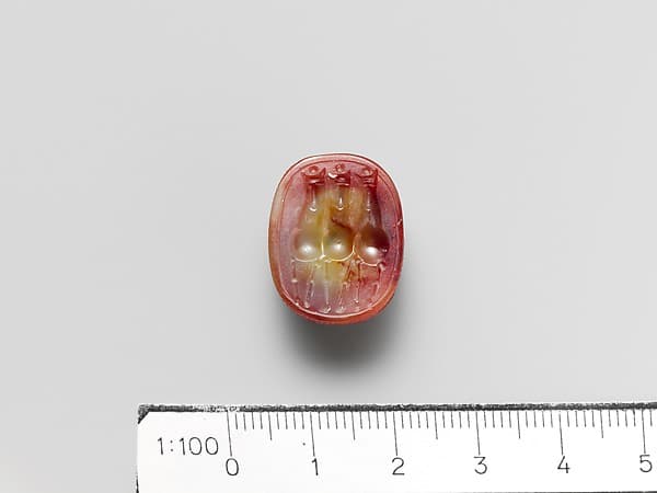 Carnelian scarab