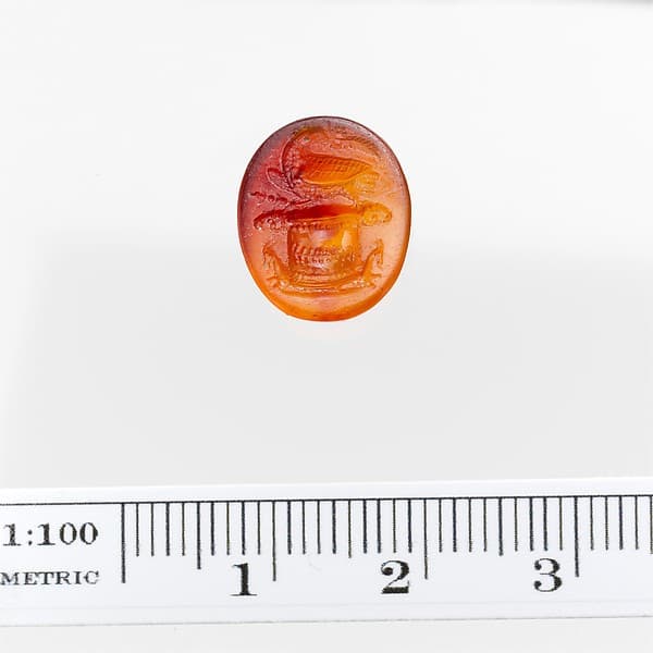 Carnelian ring stone