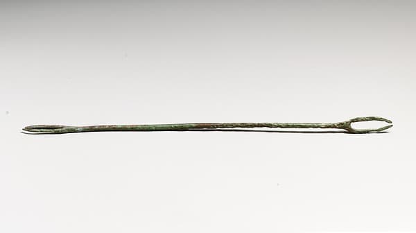 Needle