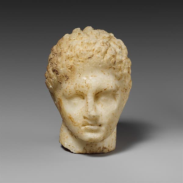 Marble head of a youth