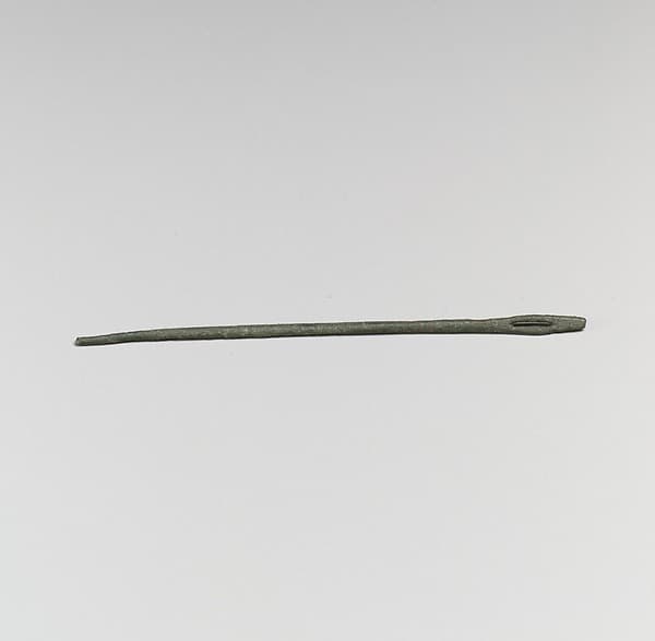 Needle