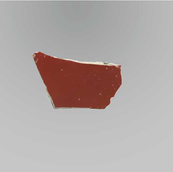 Glass monochrome dish fragment