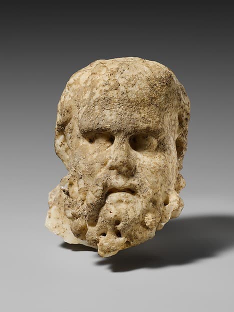 Marble head of a bearded man